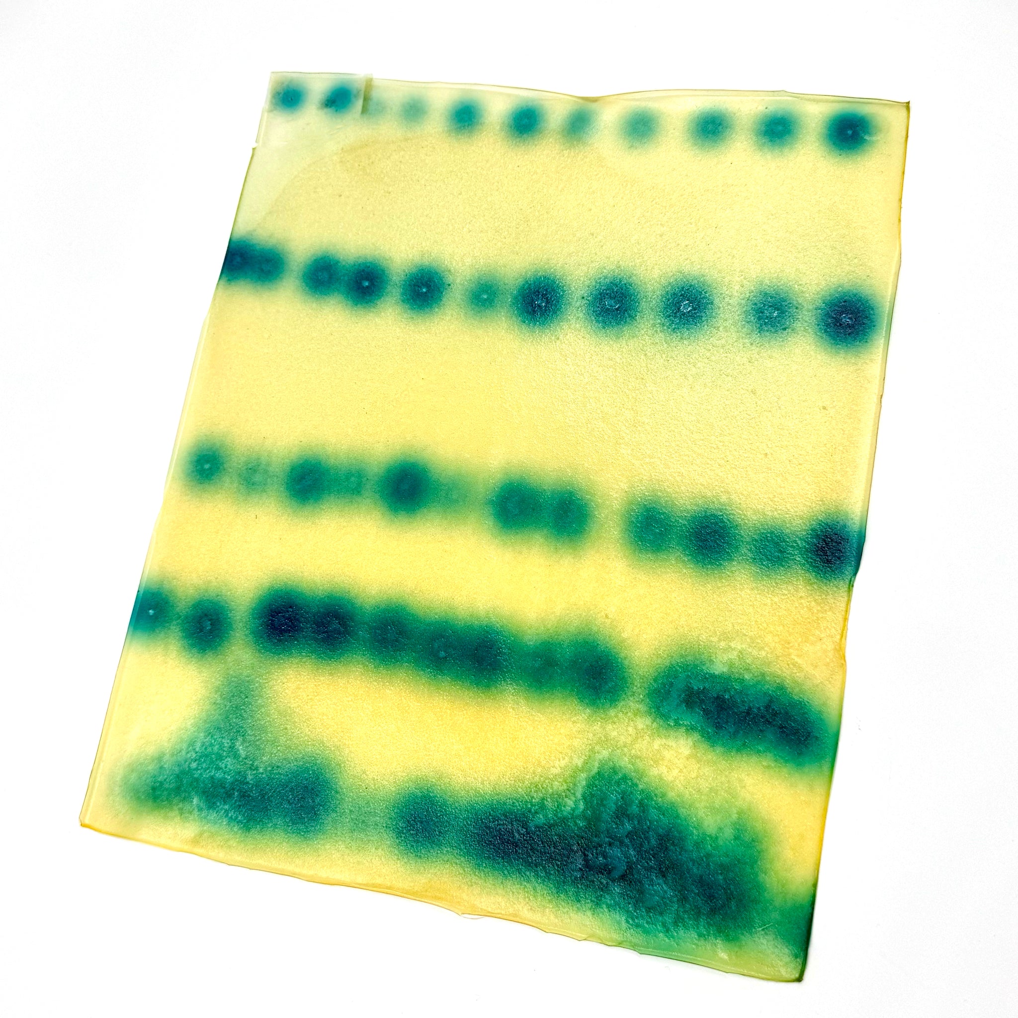 Bioplastic Kit: Explore & Create™ (5 Experiments in 1!) – Amino Labs