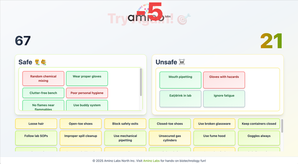 Lab Safety: Safe vs Unsafe game – Amino Labs