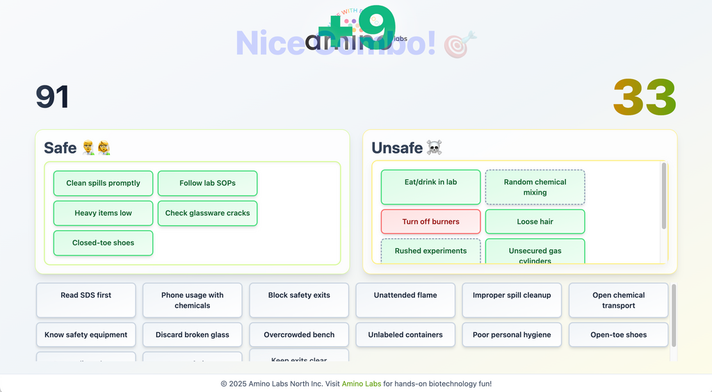 Lab Safety: Safe vs Unsafe game – Amino Labs