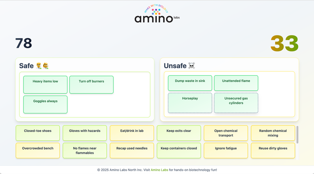 Lab Safety: Safe vs Unsafe game – Amino Labs