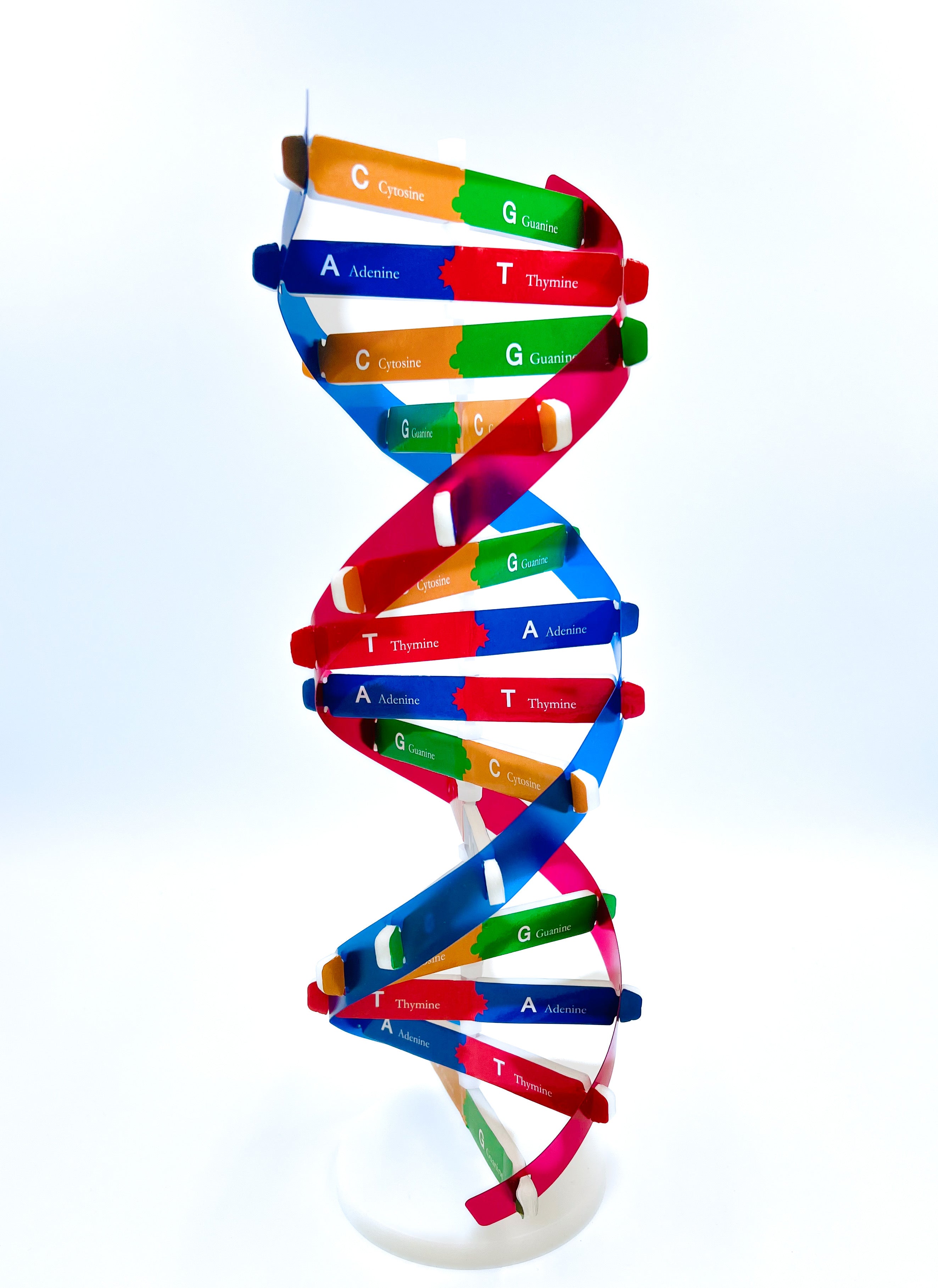 Dna Helix Model DNA Studies: Latest Spectroscopic And Structural