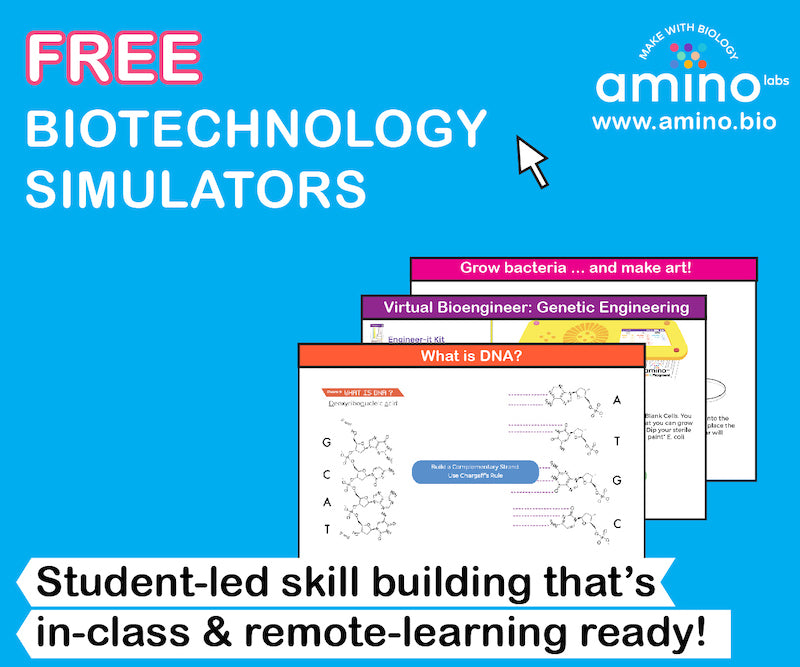 Biotechnology Simulation STEM with the virtual simulators – Amino Labs