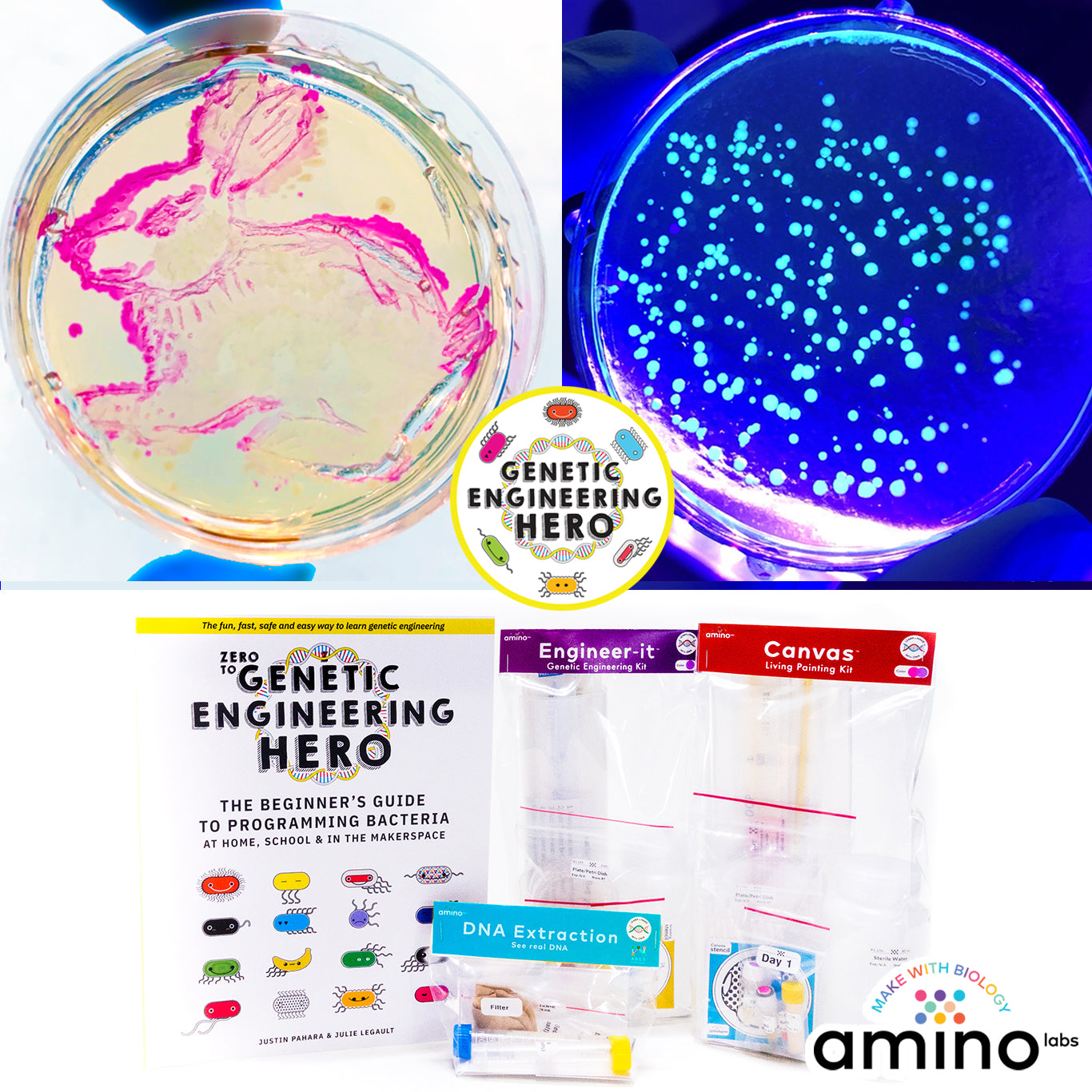 Genatic Engineering Genetic Engineering Courses
