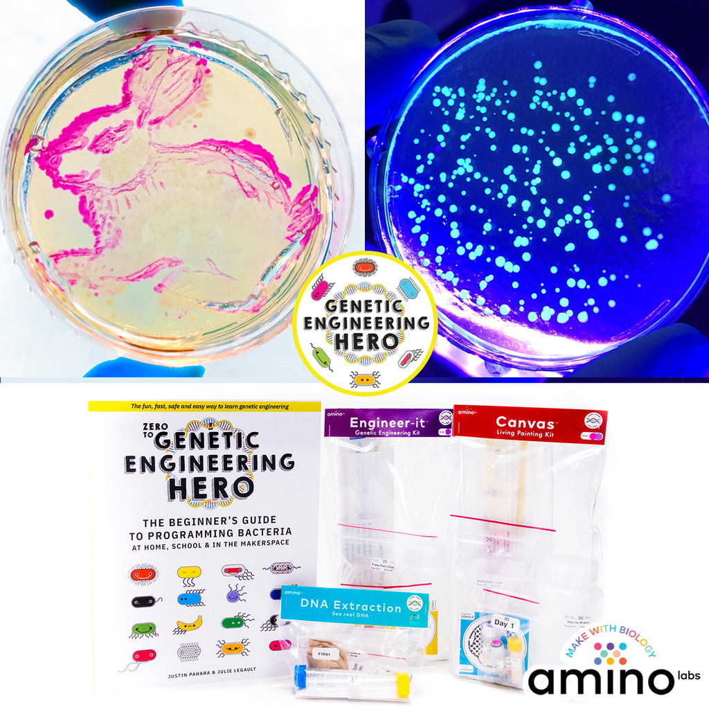 Amino Labs: Beginner biotechnology kits, lessons, guides & more
