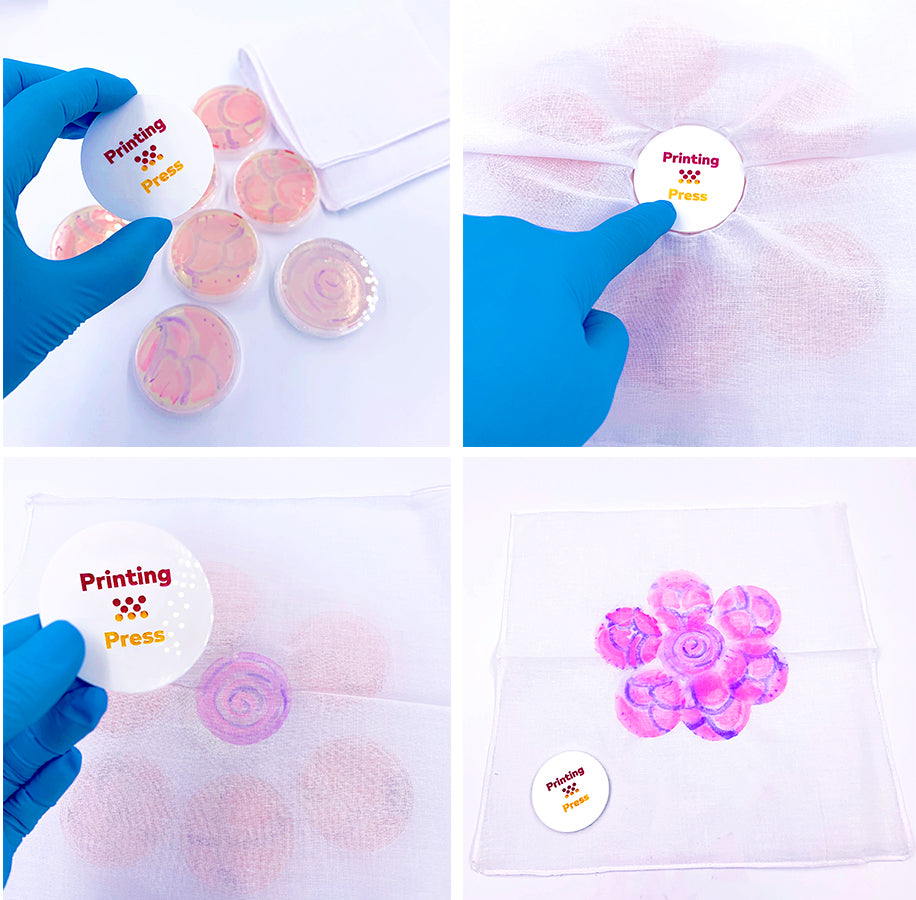 BioPrint-it Kit™: Bacteria art you can print on fabric – Amino Labs