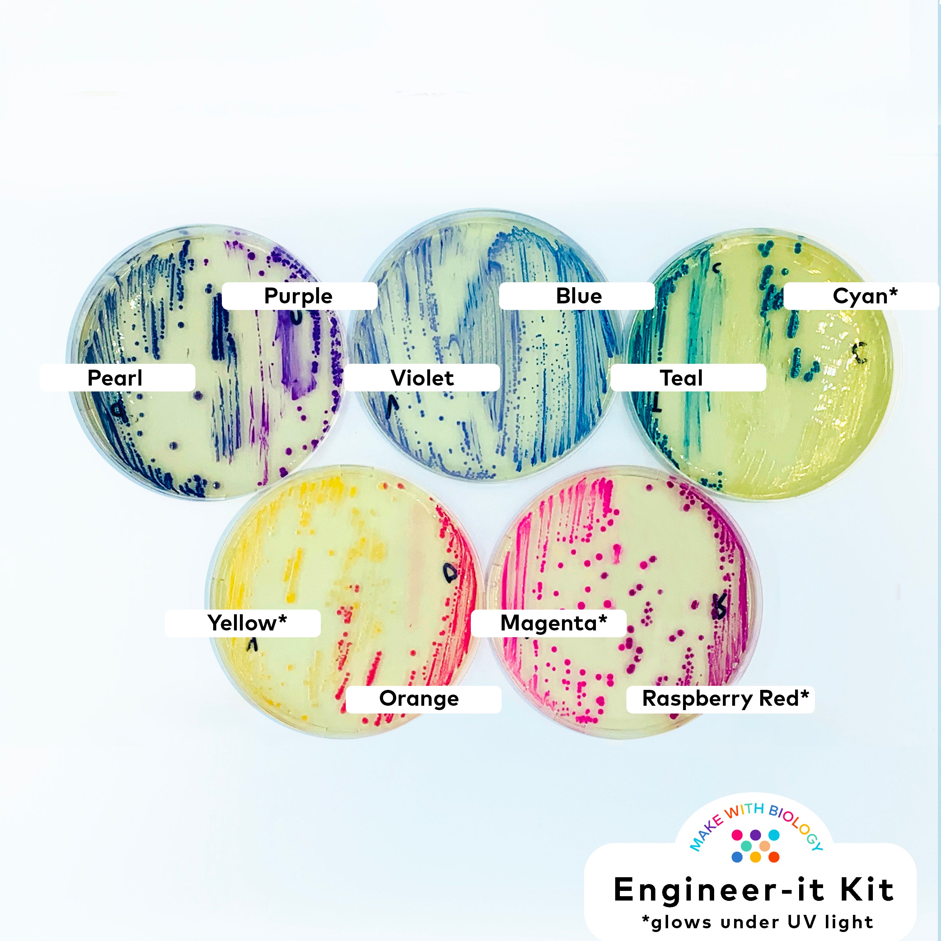 Lab Germs Creator Engineer-it Kit™: Get started with Genetic Engineering for bacteria (b ...