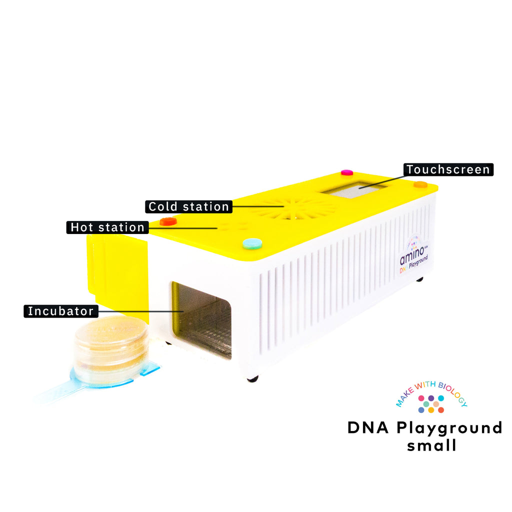 Homemade Bio Lab DNA Playground™: Your all-in-one miniature lab – Amino Labs