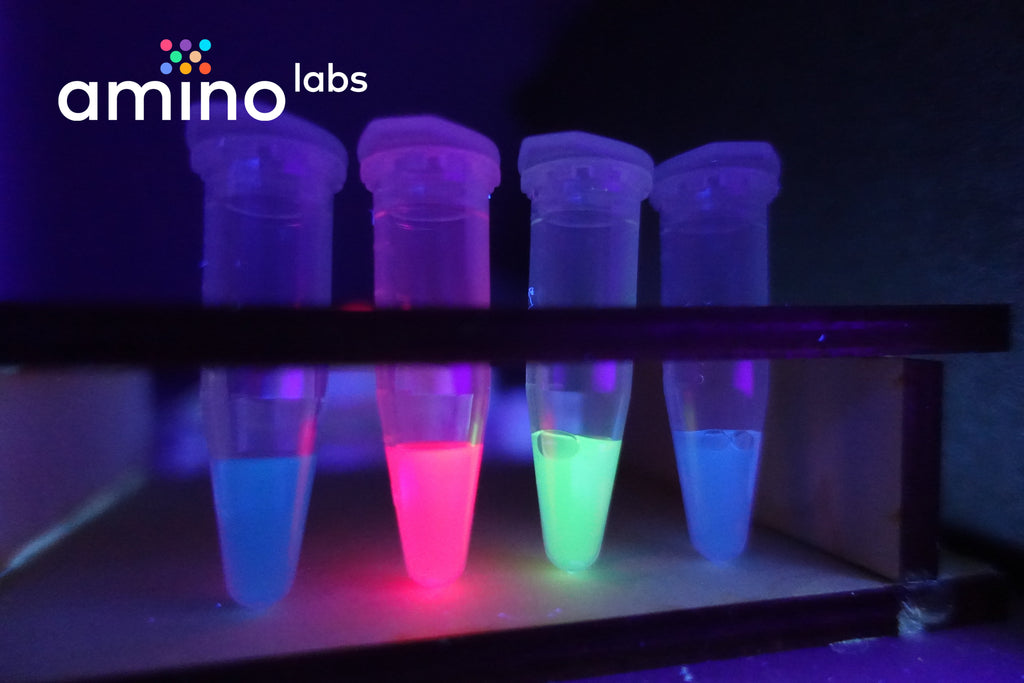 glowing bacteria made with the desktop biolab Amino Labs' BioExplorer minilab, a biohacker lab, DIY bio lab, laboratory equipment for glowing bacteria, e.coli bacteria, STEM science project, home lab, biotechnology lab, home science lab, school science lab, biohacking lab, iGEM, DIY biology, bio production, bacterial transformation lab, genetic engineering