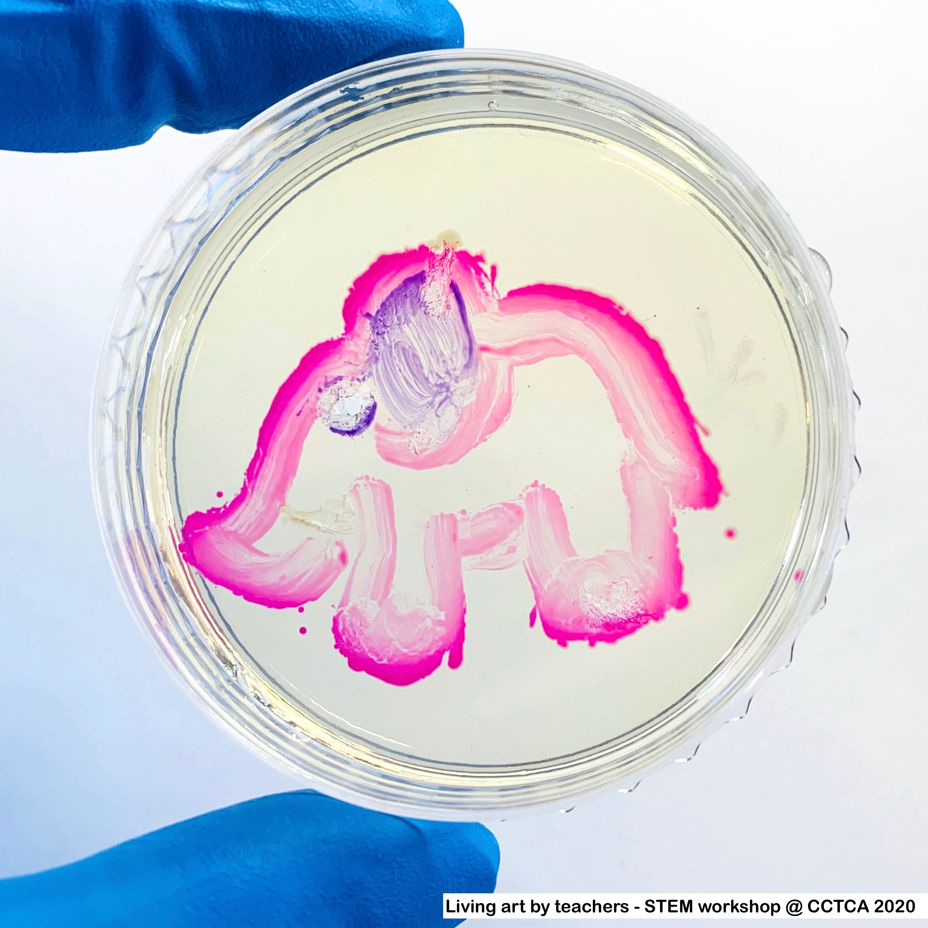 Involution Microbio Microbiology Art