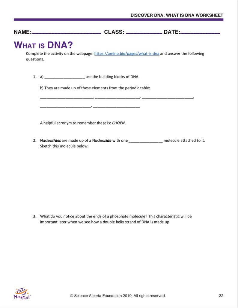 Teach what is DNA, what is a gene, cell theory, genetic engineering, bioart, biotechnology, biohacking and genetic engineering with the world's first biohacking and biotechnology STEM lesson guides - NGSS LS, MS, life science high school life science middle school biology & genetics module