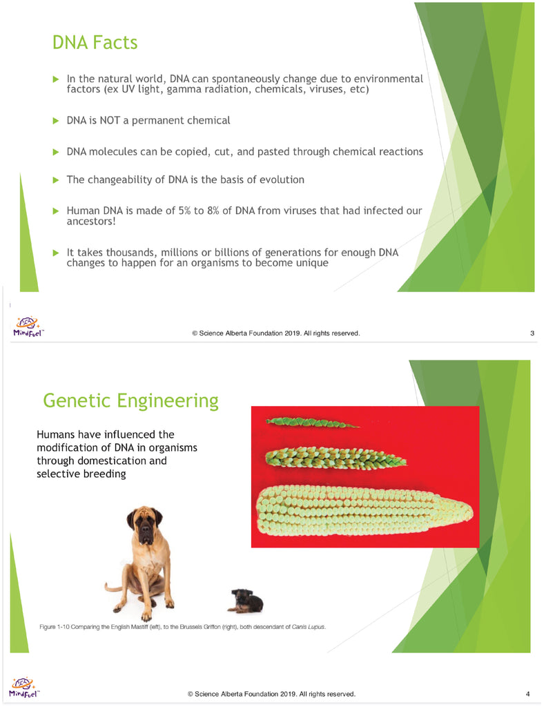 Teach what is DNA, what is a gene, cell theory, genetic engineering, bioart, biotechnology, biohacking and genetic engineering with the world's first biohacking and biotechnology STEM lesson guides - NGSS LS, MS, life science high school life science middle school biology & genetics module