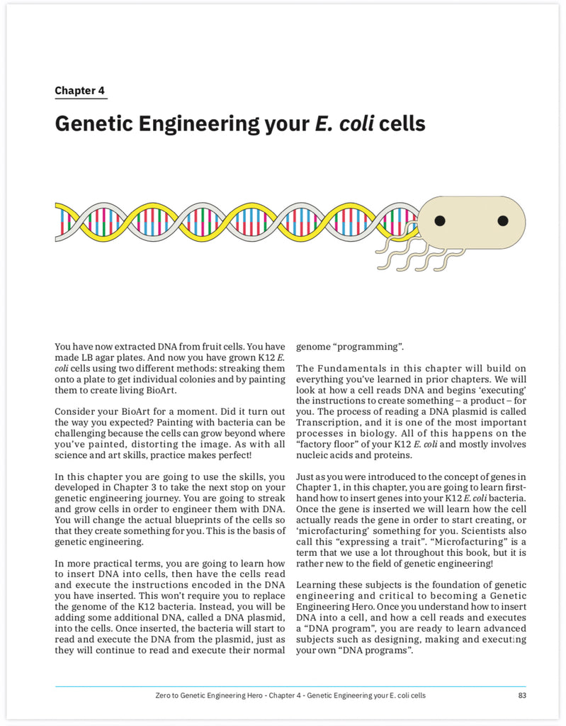 Genetic Engineering E. coli bacteria/e. coli cells - Learn what is DNA, what is a gene, cell theory, genetic engineering, bioart, biotechnology, biohacking and genetic engineering with the world's first biohacking and biotechnology STEM beginner's book: Zero to Genetic Engineering hero guide book.