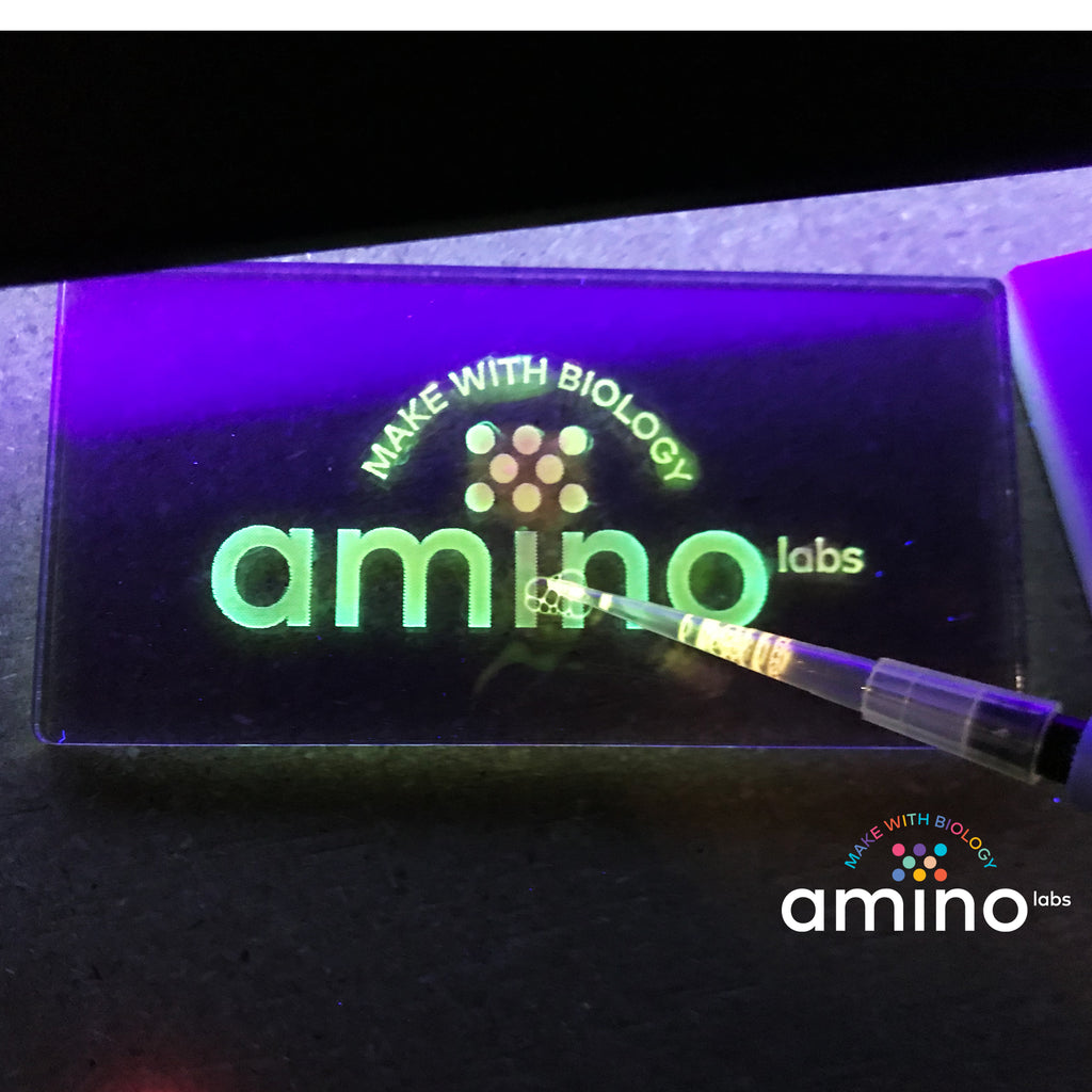 amino labs logo painted in colorful glowing bio-ink from a bacteria science experiment made with Amino Labs' Plate extract-it kit for extracting proteins - Learn genetic engineering skills while discovering biohacking, biotechnology, life science, DNA, protein, lysing cells, extracting DNA products with this STEM project kit, science kit, biohacking kit for home science, school science, makerspace, DIYbio, iGEM